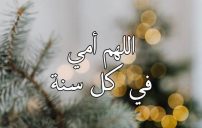 دعاء للأم بالعام الجديد